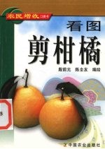 看图剪柑橘 封面