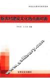新农村建设文化热点面对面 封面