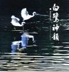 白鹭神韵  张斌生摄影集  1 封面
