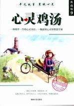 心灵鸡汤：典藏版  9 封面