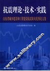 抗震理论·技术·实践 封面