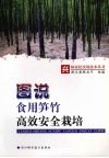 图说食用笋竹高效安全栽培 封面