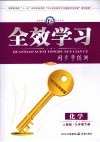 全效学习  同步学练测  化学  九年级  下  人教版 封面
