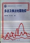 多波及横波地震勘探 封面