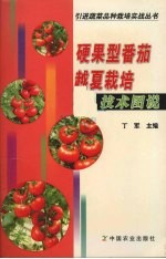 硬果型番茄越夏栽培技术图说 封面