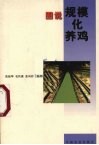 图说规模化养鸡 封面