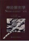 神经解剖学 封面