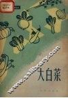 大白菜 封面