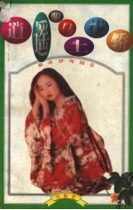 逍遥驸马上花轿 封面