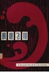 展翅飞翔 封面