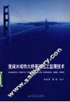 宽阔水域特大桥基础施工监理技术 封面