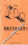 黄陂县麦地塆的萝卜 封面
