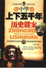 中华上下五千年历史谜案 封面