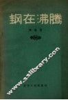 钢在沸腾  散文集 封面