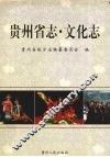 贵州省志  文化志 封面