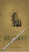 钢铁之花遍地开 封面