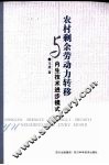 农村剩余劳动力转移与内生技术进步模式 封面