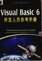 Visual Basic 6开发人员参考手册 封面