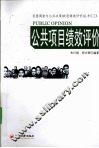 公共项目绩效评价 封面