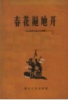 春花遍地开 封面