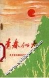 青春似火  先进青年事迹编 封面