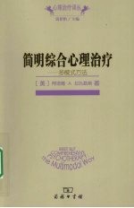 简明综合心理治疗  多模式方法 封面