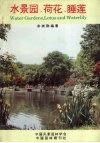 水景园·荷花·睡莲 封面