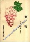 葡萄 封面