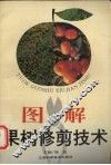 图解果树修剪技术 封面