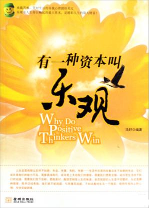 有一种资本叫乐观 封面