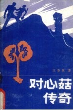 对心菇传奇 封面