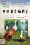 鸡鸭鹅疾病防治 封面