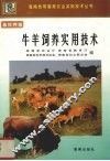 牛羊饲养实用技术 封面