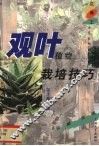 观叶植物栽培技巧 封面