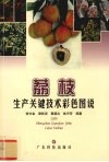 荔枝生产关键技术彩色图说 封面
