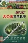 黄瓜无公害高效栽培 封面