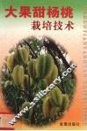 大果甜杨桃栽培技术 封面