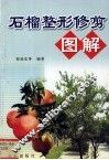 石榴整形修剪图解 封面