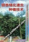 银杏矮化速生种植技术 封面