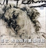 菲钦未出版的素描作品 封面