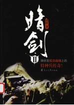 暗剑  2 电子书封面