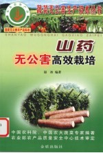 山药无公害高效栽培 封面