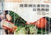 蔬菜病虫害防治彩色图册 封面