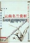 云南名兰赏析 封面