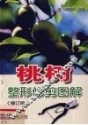 桃树整形修剪图解 封面
