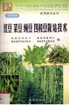 豇豆、菜豆、豌豆、四棱豆栽培技术 封面