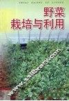 野菜栽培与利用 封面
