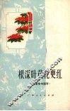 根深叶茂花更红 封面
