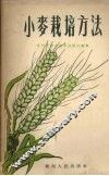 小麦栽培方法 封面