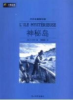 神秘岛 封面